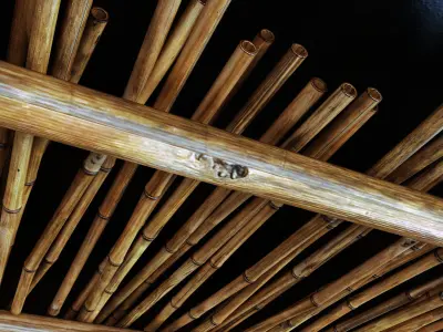 Branch bamboo long low n4 3D model