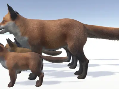 FOX FAMILY Low-poly 3D model