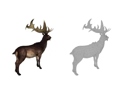 Realistic Deer 3D Model Pack 2 Game Ready Animals  C4D FBX OBJ   Low-poly 3D model
