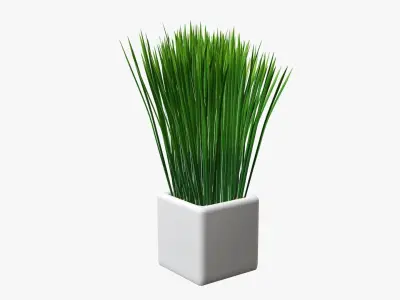 Long grass potted decorative   3D model