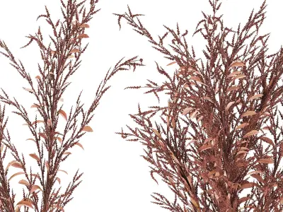 Bouquet of dried flowers in a glass vase 153 3D model