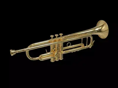 Trumpet 3D Model gold 3D model