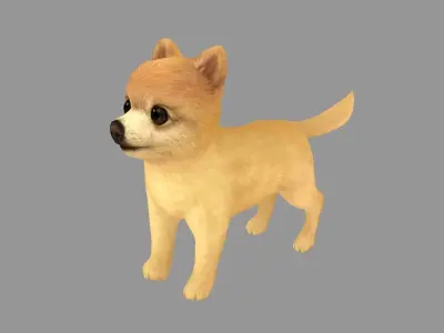Cartoon pet puppy - Pomeranian - baby dog Low-poly 3D model