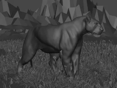 Lioness - 3D Model 3D model