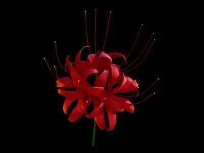 Lycoris Free low-poly 3D model