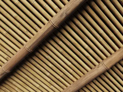 Ceiling bamboo angle n1 3D model