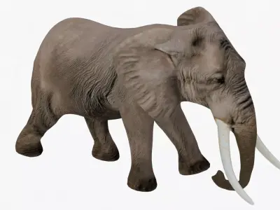 Elephant Rigged Low-poly 3D model get