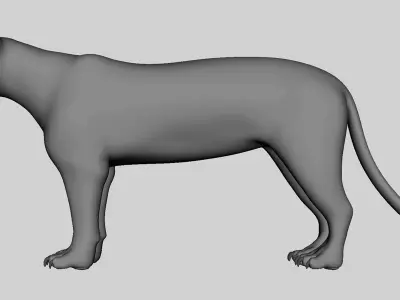 Leopard Model Low-poly 3D model