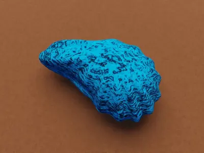 Oyster Shell 3D model