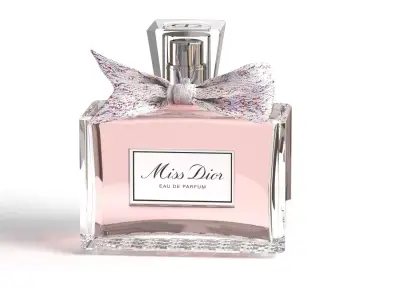 DIOR MISS DIOR 3D model