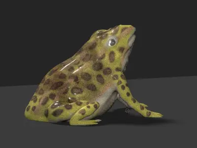 frog 3d model 3D model