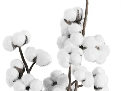 Cotton Flower Bouquet16 3D model