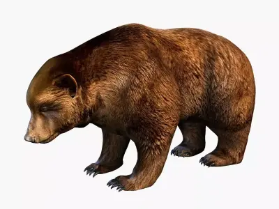 Bear brown Low-poly 3D model