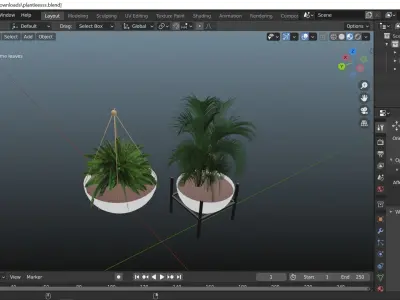Two decor interior plants set 3D model