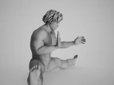 Karate Exercise 3D print model