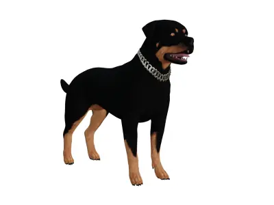 Rottweiler Dog Low-poly 3D model
