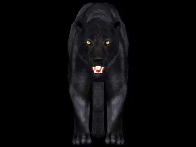 Panther 3D model Low-poly 3d model 3D model