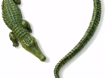 Necklace Crocodile Necklace Diamond Necklace Animal 3D print model