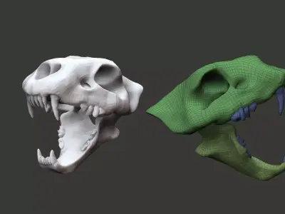 lion skull  3D model