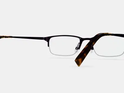 Caldwell Eyeglasses in Carbon 3D model
