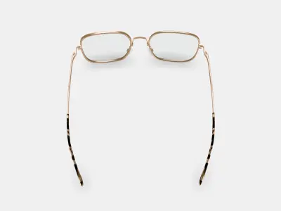 Aniyah Eyeglasses in Polished Gold 3D model