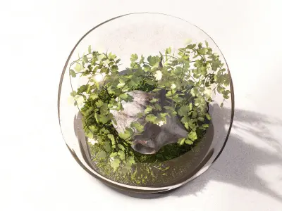 Skull in Flask 3D model