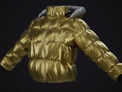 Gold and silver jackets Low-poly 3D model