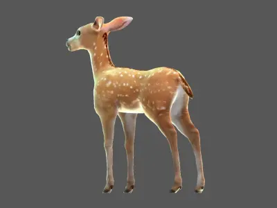 Sika deer   Elk  Water deer Low-poly 3D model