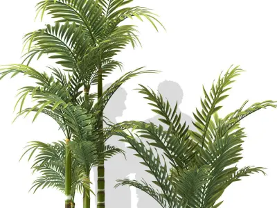 Plants 83 3D model