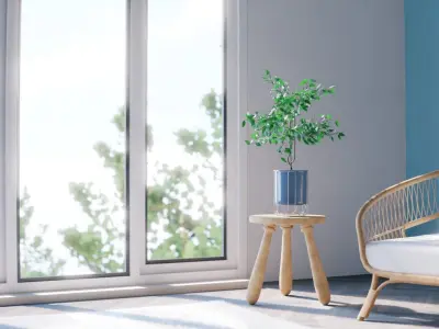 Plants Collection plant in pot Low-poly 3D model