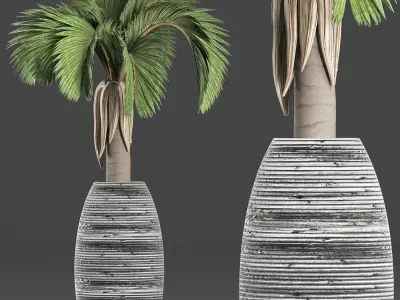 Plants Collection 183 Palm 3D model