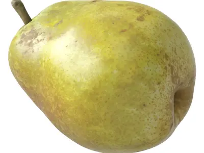 Kieffer Pear 3D model