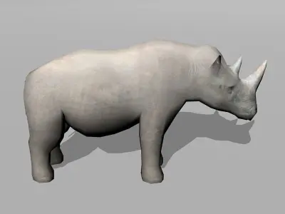 rhinoceros rhino Low-poly 3D model