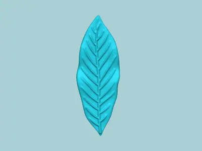 Japanese Evergreen Oak Tree Leaf - Molding EVA Craft 3D print model