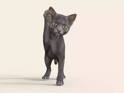Cute 3D Kitten Rigged 3D model