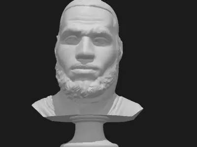Lebron James Basketball Portrait Head 3D print model
