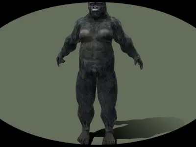 Gorilla Avatar 3D model