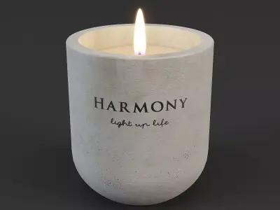 Candle BOSSE - D8xH9cm - JYSK 3D model