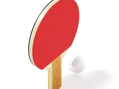 Table Tennis Racket and Ball 3D model