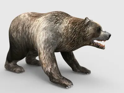 Bear Rigged 3D Models game ready  Low-poly 3D model