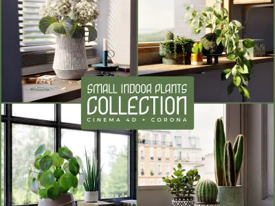 Indoor plants collection 3D model