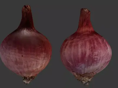  Red Onion 3D Scan Low-poly 3D model