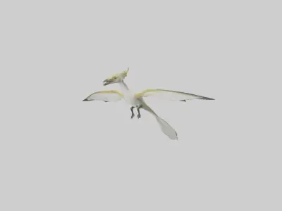 Rhamphorhynchus model Low-poly 3D model