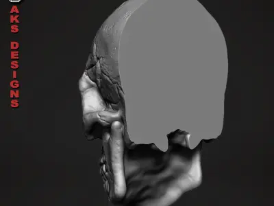 Skull version 1 Bas relief for cnc 3D print model