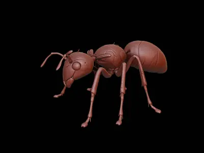 Ant Animal Sculpture 3D print model get