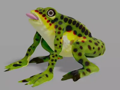 frog lowpoly Low-poly 3D model