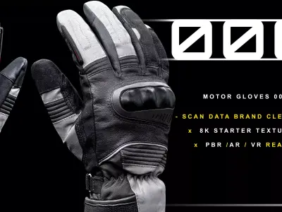 Motor Gloves 006 Low-poly 3D model