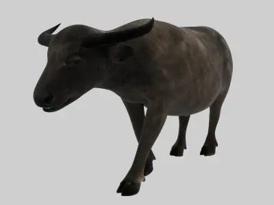 Buffalo Animated VFX Grace Low-poly 3D model