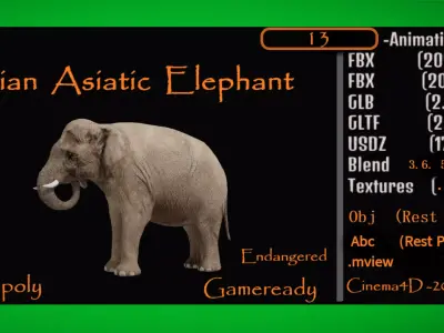 Asian Asiatic Elephant Low-poly 3D model