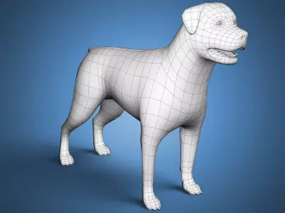 Rottweiler Dog Base Mesh  Low-poly 3D model